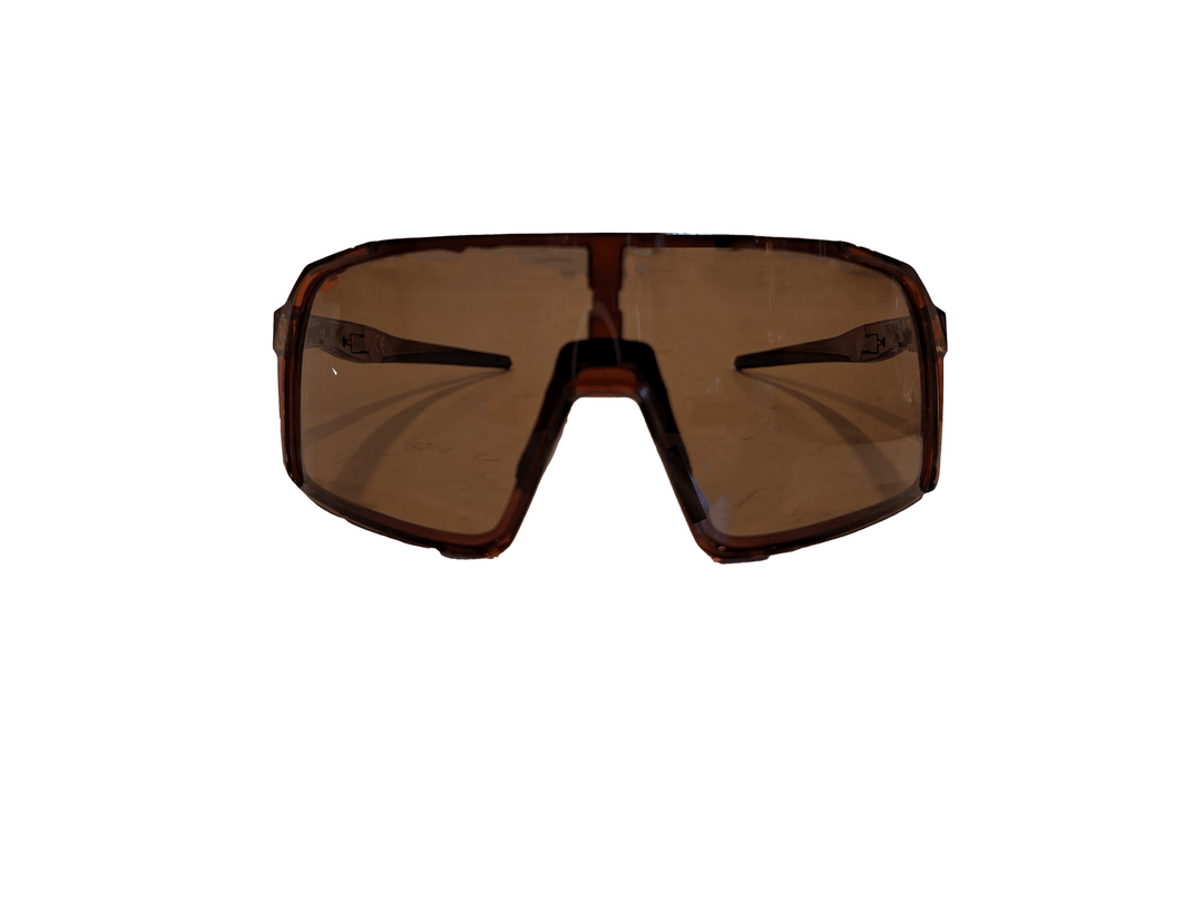 Stelvio Polarized Brown - ALPE Eyewear