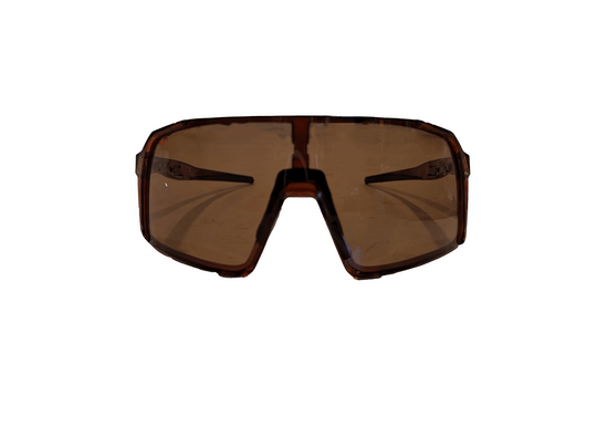 Stelvio Polarized Brown - ALPE Eyewear