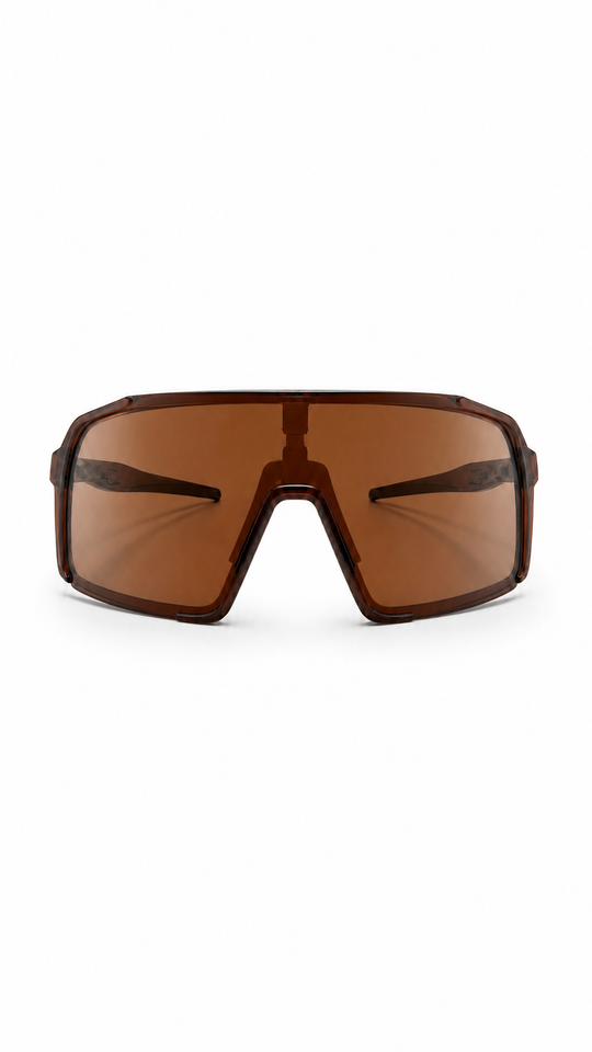 Stelvio polariseret brun