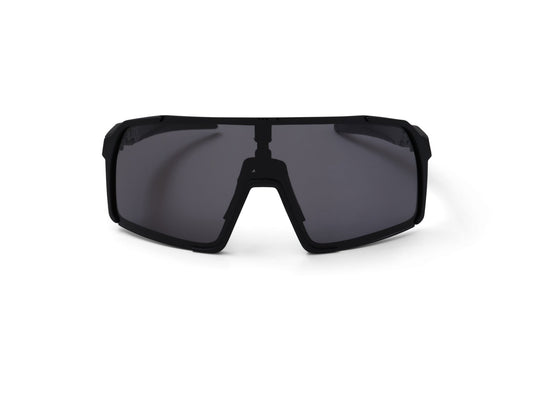 Stelvio Polarized - ALPE Eyewear